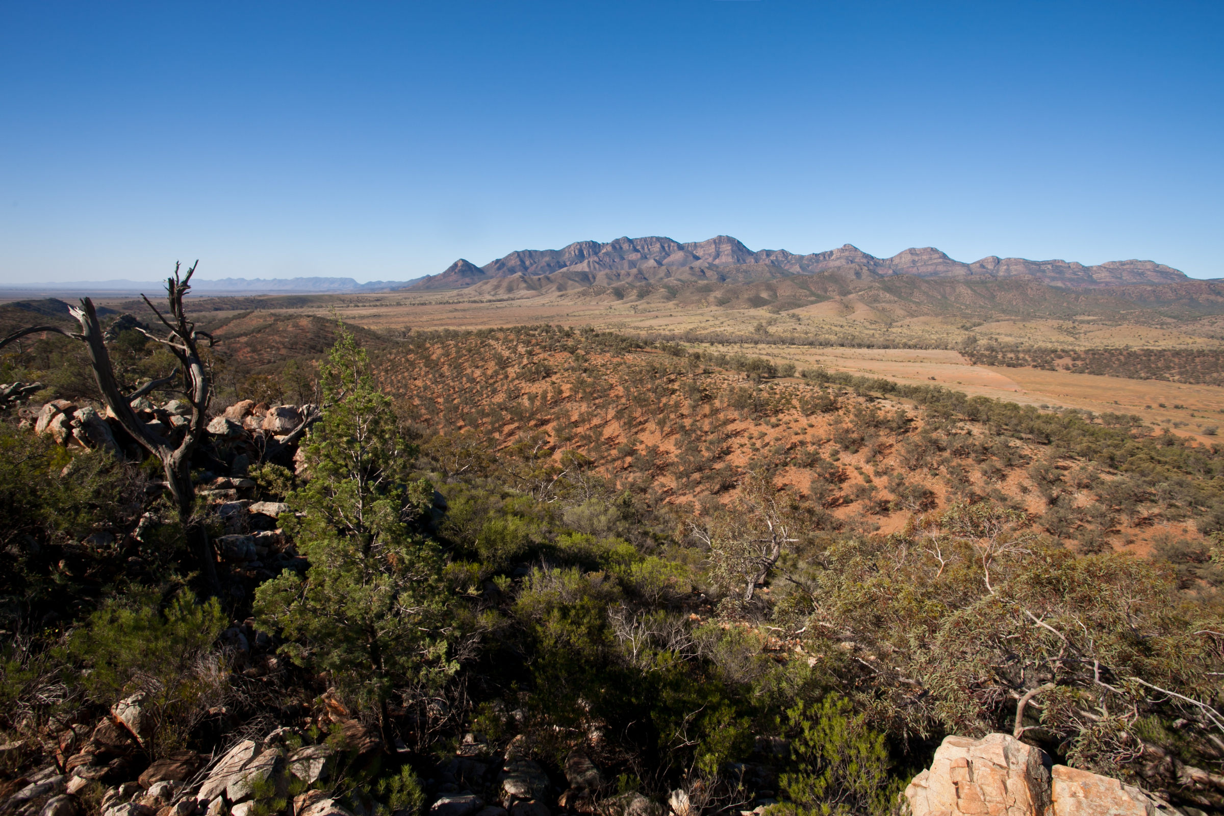 wilpena pound, ikara-flinders ranges national park, south australia.webp